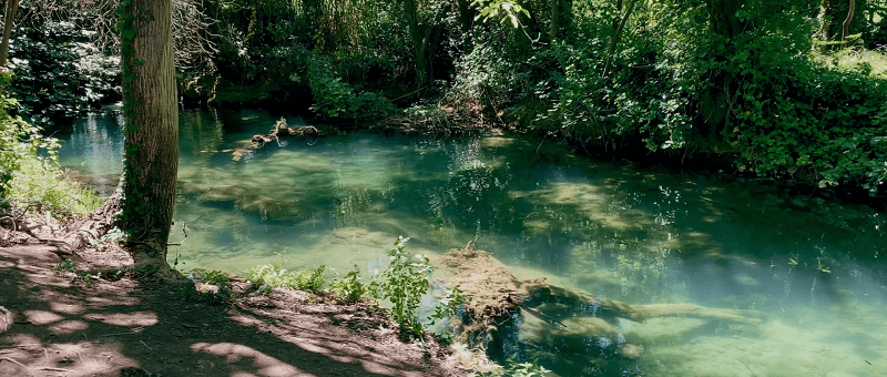 Transfer From Omiš To Krka National Park